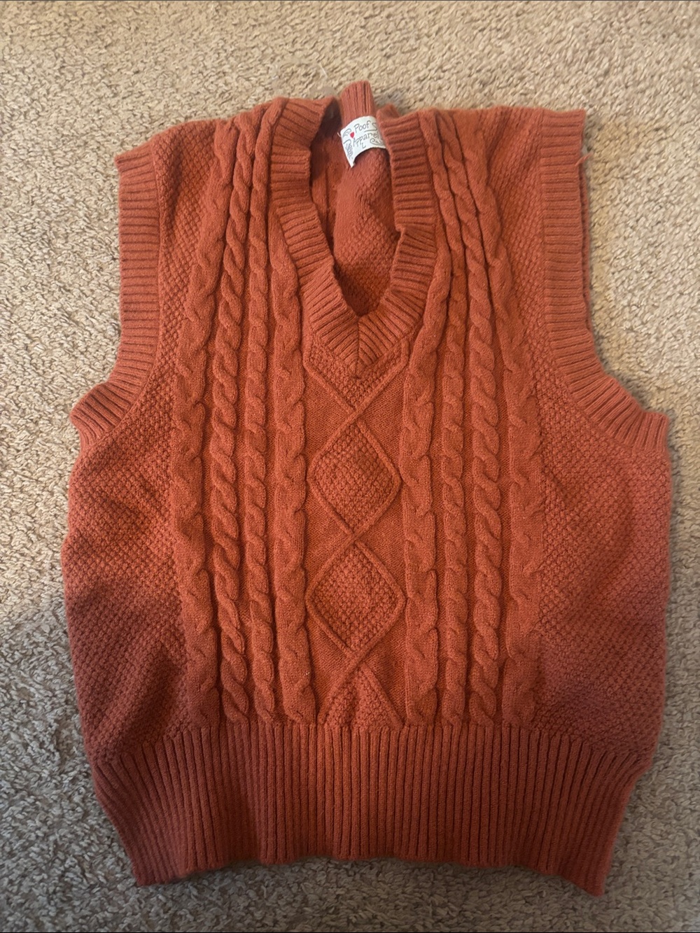 Cable Knit V-Neck Sweater Vest - Rust